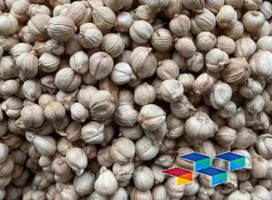 中药材白豆蔻有哪些功效与作用?白豆蔻简介