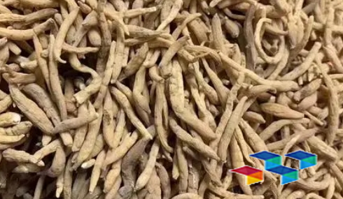 2024年10月24日安徽亳州药材市场中药材价格行情快讯