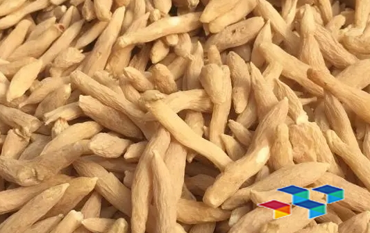 山麦冬 亳州中药材市场山麦冬价格暂时波动不大 处于平缓消化