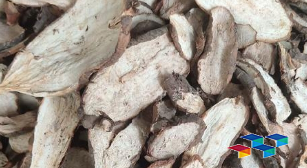 白蔹：山林间的疗伤圣草有哪些药材故事？