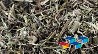 白屈菜 中药材白屈菜是什么?中药材白屈菜的功效与作用