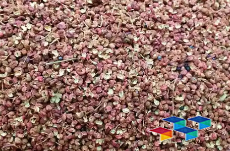 2024年11月1日安徽亳州药材市场中药材价格行情快讯