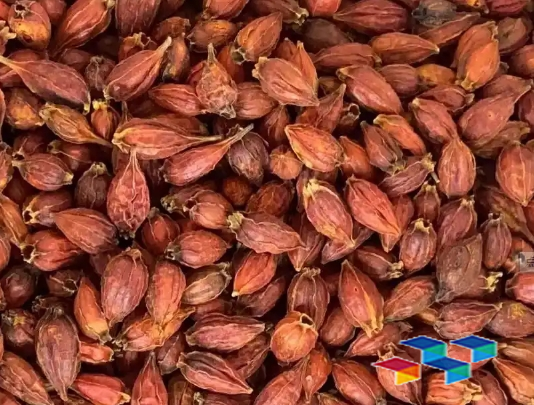 2024年11月5日广西玉林药材市场中药材价格行情快讯