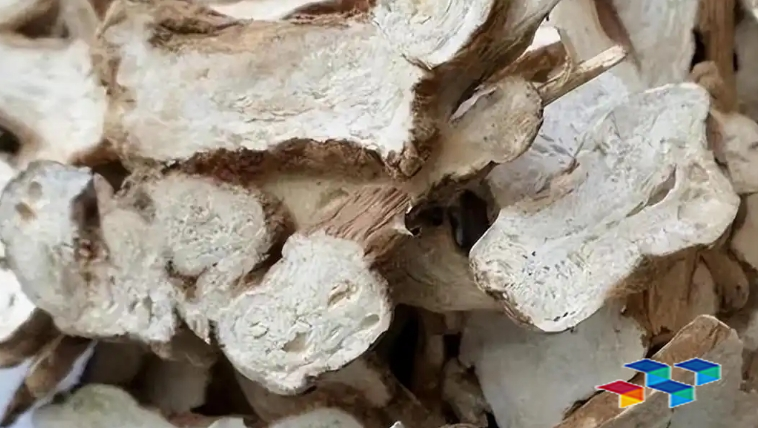 2024年11月5日河北安国药材市场中药材价格行情快讯