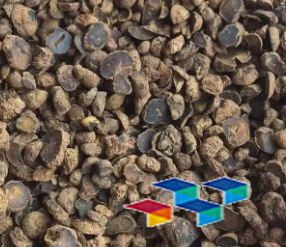 2024年11月7日四川荷花池药材市场中药材价格行情快讯