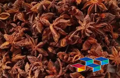 八角茴香:香料与药材的瑰宝