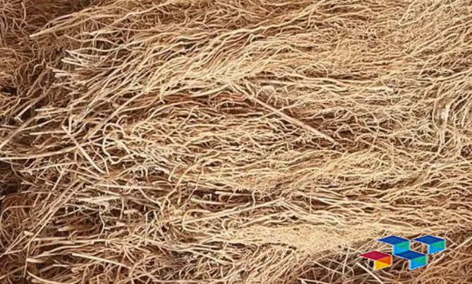 2024年11月8日安徽亳州药材市场中药材价格行情快讯