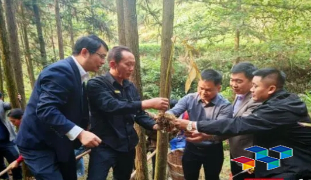 湖南省中药材产业技术体系赴安化县开展黄精生产技术服务和召开体系年度工作推进会议