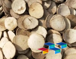 2024年11月13日河北安国药材市场中药材价格行情快讯