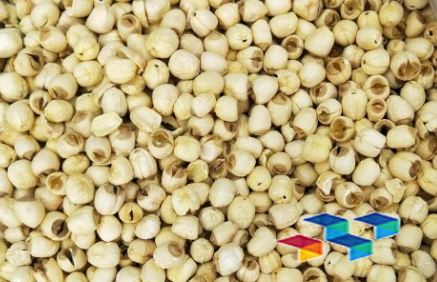 2024年11月14日四川荷花池药材市场中药材价格行情快讯