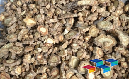 2024年11月18日河北安国药材市场中药材价格行情快讯