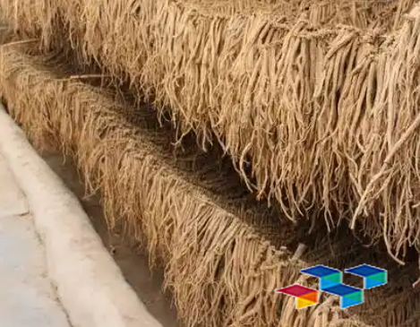 金瓜村：7000亩中药材拓宽群众致富路