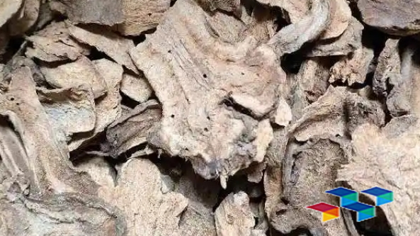 2024年11月19日安徽亳州药材市场中药材价格行情快讯