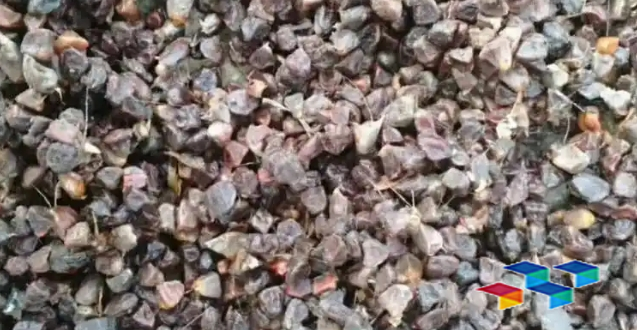 陇西325克中药材种子结束太空之旅