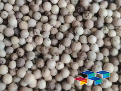 2024年11月29日广西玉林药材市场中药材价格行情快讯