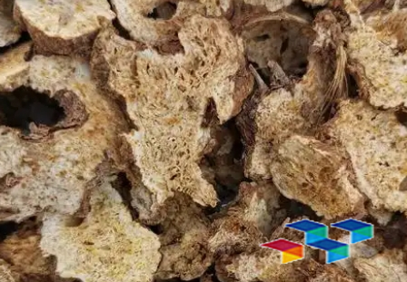 2024年11月29日河北安国药材市场中药材价格行情快讯