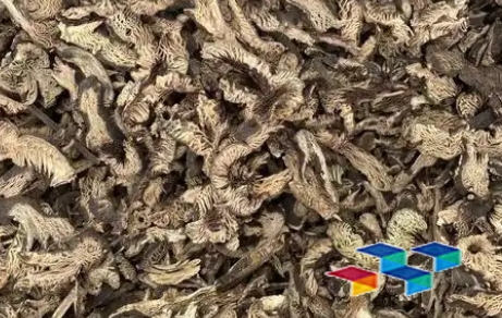 升麻 安国中药材市场升麻行情在平稳中运行