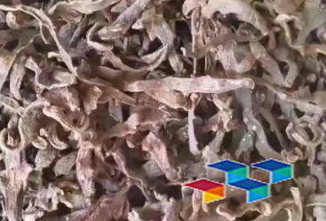 2024年12月3日安徽亳州药材市场中药材价格行情快讯