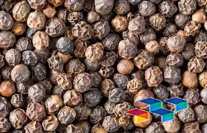 黑胡椒 安国中药材市场黑胡椒行情有所上扬