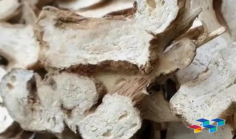 白术 亳州中药材市场白术走销量减弱,行情下滑