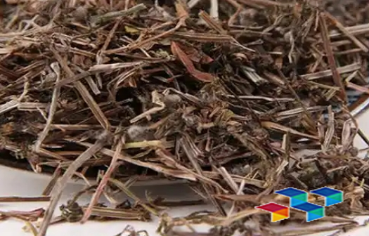 白刺花荜茇药材故事与行情，芭蕉花药膳魅力探索