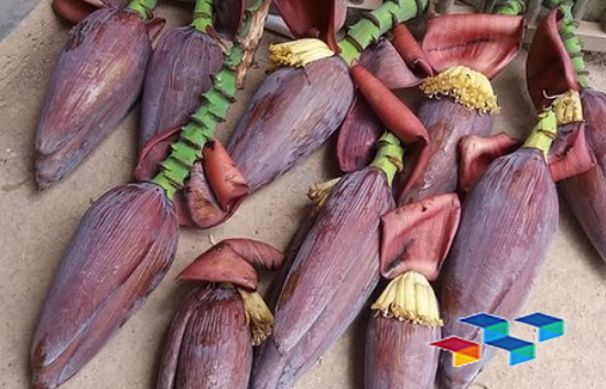 “八仙白扁豆膳,荜茇药用食补,药康网药膳秘籍