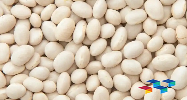 白扁豆 白扁豆与八仙药膳的奇妙世界