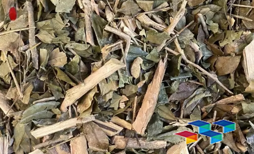 探索川贝母与川芎药膳，揭秘巴戟天功效，了解菜豆树简介