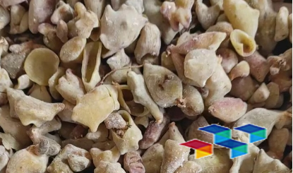 糖尿病人必看的食用方法与功效，甘肃中药材新动态