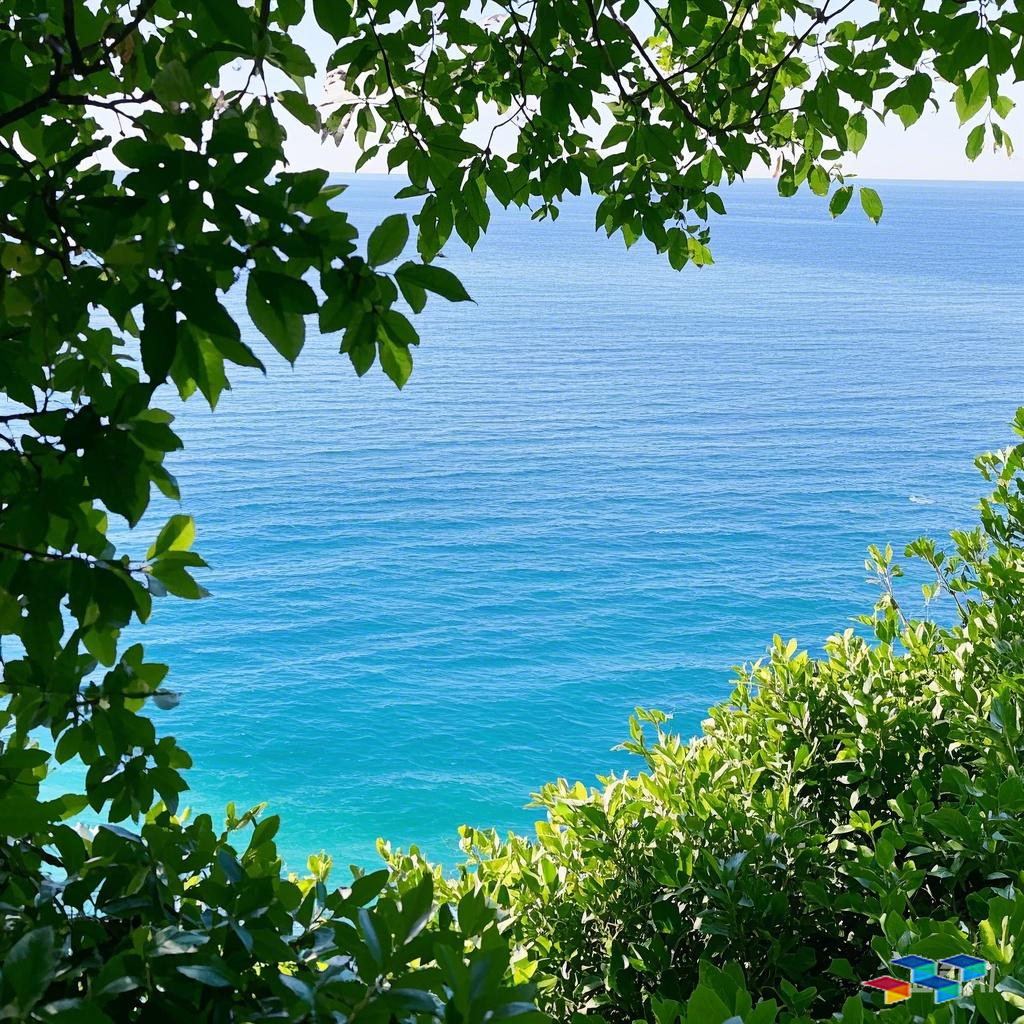 减碳降污行动指南——空气污染防控、垃圾管理与地方新闻