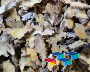 川牛膝药材故事与市场行情，打开产后恢复新思路，科学运动减脂，健康养生要点