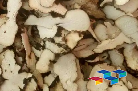 在中药材领域，药康网带您全面了解市场行情，深入探讨川乌炮制、蓖麻的食用方法与功效、车前子的食用价值，以及白刺花的药材故事