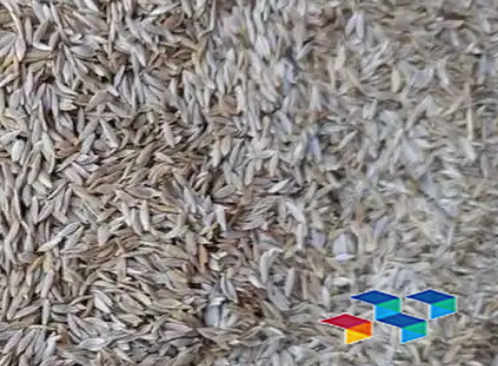 药康网,药膳食谱,中药材质量安全,会川中药材市场行情,半枝莲食用价值,半枝莲药材简介,白刺花叶药膳食谱