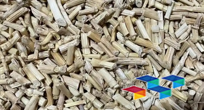 药康网,药膳食谱,安国市场行情,白头翁药膳食谱,健康美容,健康最新资讯,蓖麻药膳食谱