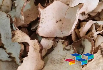 药康网,药膳食谱,白扁豆价格行情,中药材价格波动,白刺花叶药材简介,会川中药材市场行情,健康养生