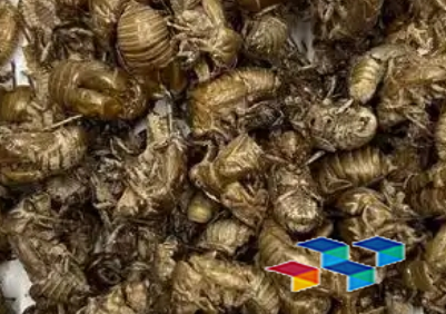 中药材食用价值及药材简介精选