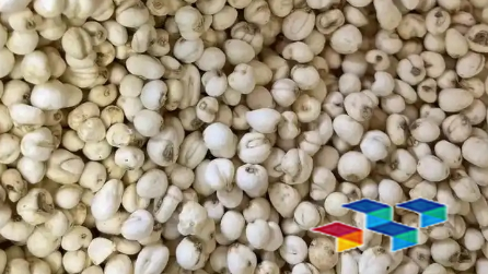 双星药材展现千亿魅力——药康网深度解析