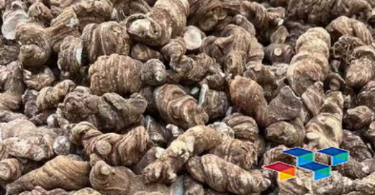 中药材与饮食健康、食疗奥秘