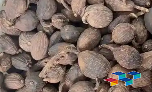萆薢柴胡车前草，美容养颜药膳生活秘籍
