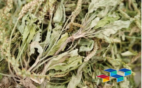 产后恢复美颜汤，赤芍柴胡巴戟天，药材故事连珠现
