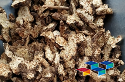 中药材概览与健康养生妙招