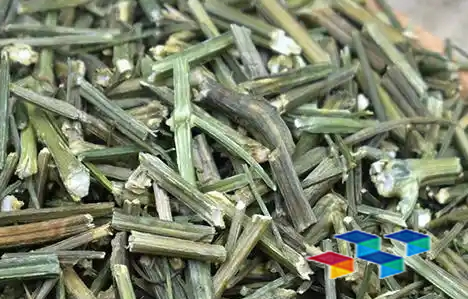 

“草乌、白刺花与菜豆树的养生之旅——探索半枝莲的美食价值